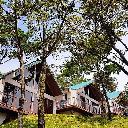 Green Forest Rustic Houses Monteverde Ngoại thất bức ảnh