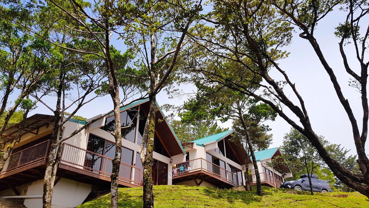 Green Forest Rustic Houses Monteverde Ngoại thất bức ảnh